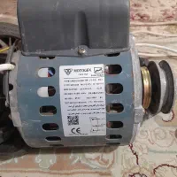 متورکولرموتوژن1/2