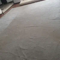 موکت پالاز