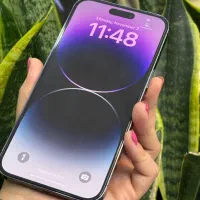 Purple 14 mx دوربین عالی با طلا و بتا|موبایل|اصفهان, احمدآباد|دیوار