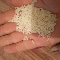 برنج محلی هاشمی دره رود|خوردنی و آشامیدنی|دره رود, |دیوار