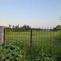 زمین-فروشی-درماسال-جان