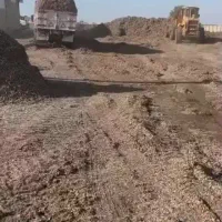 فروش دانه پنبه و پوسته پنبه