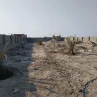 فروش زمین گورک خورشیدی|فروش زمین و ملک کلنگی|چغادک, |دیوار