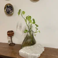 گلدان شیشه و سنگ نمک طبیعی همراه گیاه