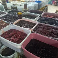 آگهی استخدام