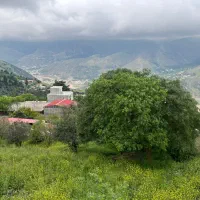 زمین-رودبار-طلابر-داخل-بافت-ویو-عالی-معاوضه