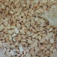 بادام زمینی کره گیری تولید روز|خوردنی و آشامیدنی|مشهد, کارمندان دوم|دیوار