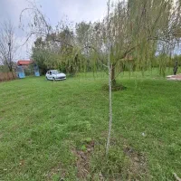 کدگیس عباس/۲۰۰۰متر خانه محوطه نوساز قیمت۶۷۰۰|فروش خانه و ویلا|سنگر, |دیوار