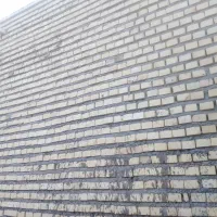 استا بنا همه کاره