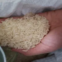 فروش برنج