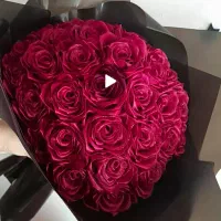 گل فول شاین جگری