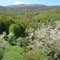راهنمایی میخوام|فعالیت داوطلبانه|تهران, آهنگ|دیوار
