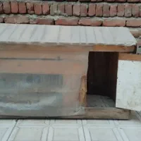 لانه مرغ و خروس
