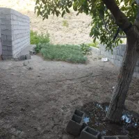 فروش زمین در شهرستان بردسیر روستای بید خوان|فروش زمین و ملک کلنگی|بردسیر, |دیوار