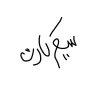 سیم کارت همراه اول 0919