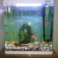 آکواریوم 35 لیتر ماهیران ،9 عدد ماهی و کمد زیر