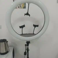 رینگلایت