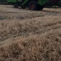 کمپاین سهند|خودرو سنگین|بانه, |دیوار