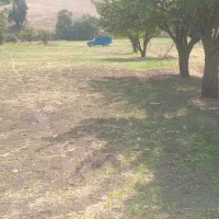 زمین-کشاورزی