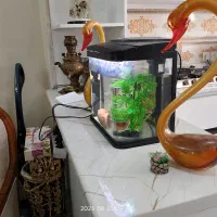 آکواریوم|ماهی|تهران, طرشت|دیوار