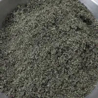 پونه کوهی معطر و سبز