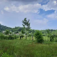 زمین سندار تفکیک شده در ماکلوان|فروش زمین و ملک کلنگی|ماکلوان, |دیوار