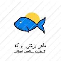 سالن پرورش ماهی زینتی برکه گوپی کت فیش آنجل ...