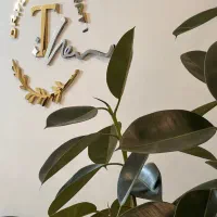 نیروی کار
