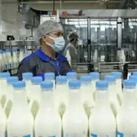 کارخانه لبنیات ( فروش با کلیه تجهیزات ) سند تک برگ|فروش دفتر صنعتی، کشاورزی، تجاری|تهران, عباسآباد|دیوار