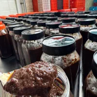 کارگر روزانه جهت کار در کارگاه میوه خشک