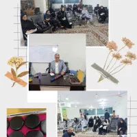 همایش طب سوزنی و بادکش