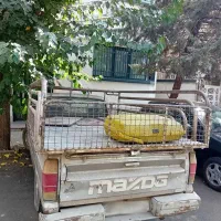 انژکتوری با دوربین دنده عقب ،کولر روشن با کفی مبلی|خودرو سواری و وانت|تهران, هروی|دیوار