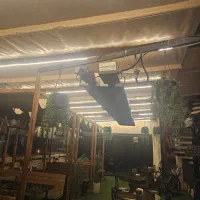 سقف متحرک وثابت لوکس|خدمات پیشه و مهارت|یزد, |دیوار