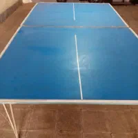 میز پینگ پنگ|ورزشهای توپی|تهران, درختی|دیوار