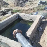 زمین کشاورزی ۵۰۰۰متر محمدیه با یک ساعت آب|فروش زمین و ملک کلنگی|خوسف, |دیوار