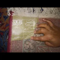 قالی ۱۲متری کرمانشاهی|فرش|شیراز, شهرک فرزانگان|دیوار