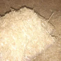 کاه گندم دیم|لوازم جانبی حیوانات|طاغنکوه, |دیوار