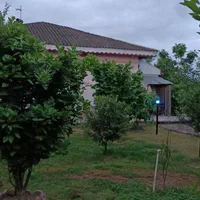 اجاره ویلا|اجارهٔ کوتاه‌مدت ویلا و باغ|رشت, سعدی (تختی)|دیوار