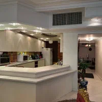 ۲۲۰ متر زعفرانیه/فرعی مرغوب آصف/شخصی ساز|فروش آپارتمان|تهران, زعفرانیه|دیوار