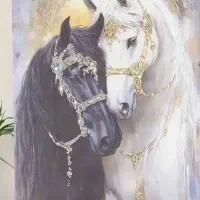 سفارش تابلو مدرن|تابلو، نقاشی، عکس|تهران, تهرانپارس شرقی|دیوار