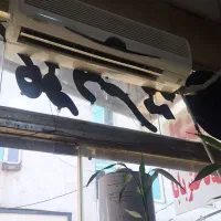کولر گازی