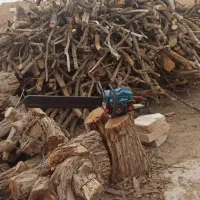 بریدن درخت وهرست درختان شما