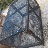 باهنر|حیوانات مزرعه|اهواز, کوی باهنر|دیوار