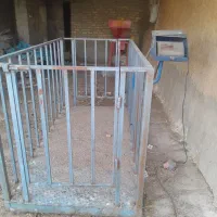 فروش باسکول دوتنی دام کش سبک وسنگین