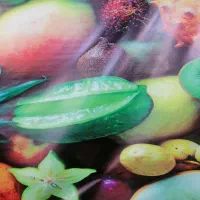 واگذاری-میوه-فروشی