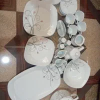 ظروف پذیرایی