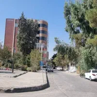 راننده نیسان