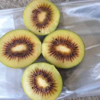 فروش کیوی خونی تو سرخ|عمدهفروشی|رودسر, |دیوار