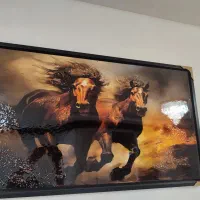 تابلوی نقاشی دوتاعکس اسب زیبادرحال دوندگی|تابلو، نقاشی، عکس|بوکان, |دیوار