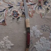 چاقو سوسماری